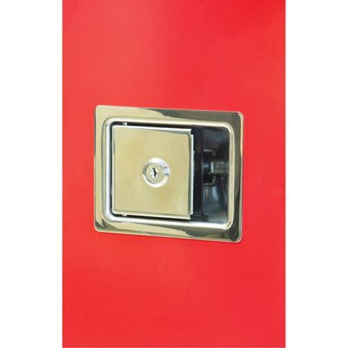 Armoires ext&eacute;rieures robustes pour extincteurs, 14" la x 28" h x 10" p Northern Industrial Supply Inc.