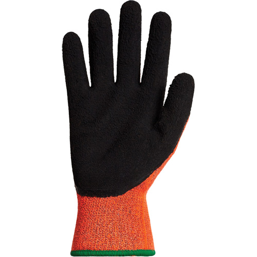 Gants d'hiver r&eacute;sistants &agrave; la coupe Dexterity TKTAGLX, Taille T-Grand, Calibre 13, Rev&ecirc;tement Latex, Enveloppe en TenActiv, ASTM ANSI niveau A3 Northern Industrial Supply Inc.