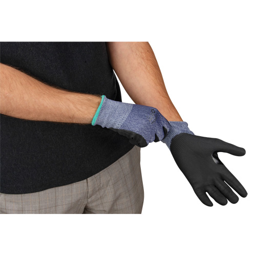 Cut-Resistant Gloves, Size Small, 15 Gauge, Foam Nitrile Coated, HPPE Shell, ASTM ANSI Level A3 Northern Industrial Supply Inc.