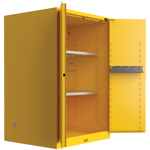 Armoire de s&eacute;curit&eacute; pour produits inflammables Utili-Guard+, 45 gal., 2 Porte(s), 43" La x 65" h x 22" p Northern Industrial Supply Inc.