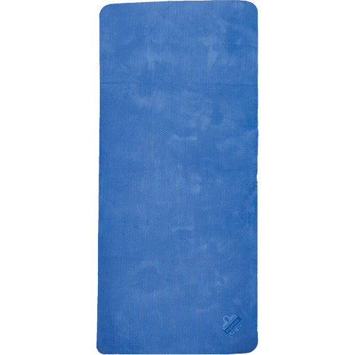 Chill-Its 6601 Economy Evaporative Cooling Towel, Blue Northern Industrial Supply Inc.