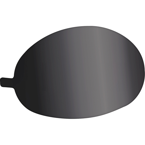 Protecteurs pour lentille teint&eacute;e Northern Industrial Supply Inc.