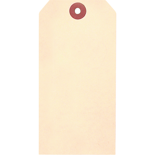 &eacute;tiquettes vierges en papier cartonn&eacute; de manille, Papier cartonn&eacute;, 1-5/8" la x 3-1/4" h Northern Industrial Supply Inc.