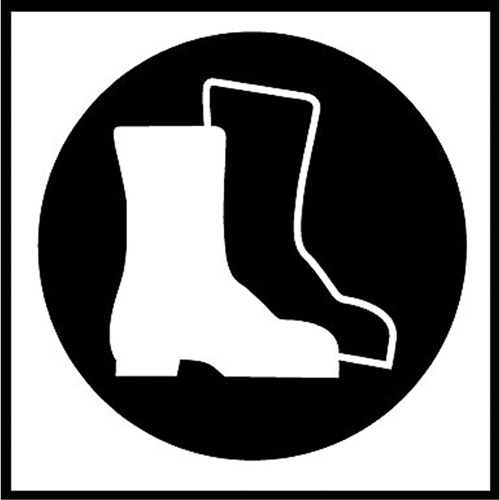 &eacute;tiquettes avec pictogramme Right to Know - Bottes, Vinyle, Feuille, 5/8" lo x 3/4" la Northern Industrial Supply Inc.
