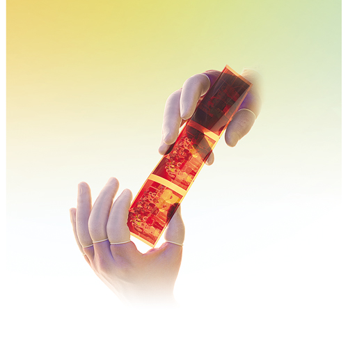 QRP&reg; Powder-Free Qualatex Latex Finger Cots Northern Industrial Supply Inc.