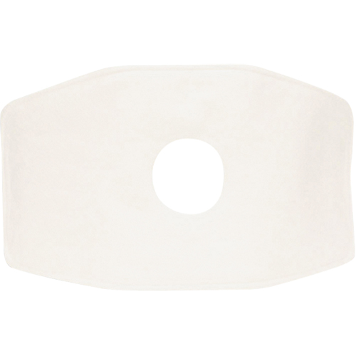 Filtre de rechange North, Filtre contre les particules, Filtre N99 Northern Industrial Supply Inc.