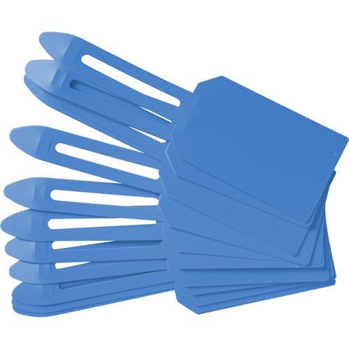 &eacute;tiquettes de cadenassage vierges en plastique, Plastique, 3-1/4" la x 5-4/5" h, Vierge Northern Industrial Supply Inc.