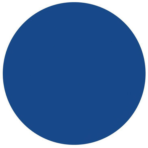 Round Write-On Labels, Circle, 1.5" L x 1.5" W, Blue Northern Industrial Supply Inc.