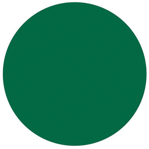 Round Write-On Labels, Circle, 3" L x 3" W, Green Northern Industrial Supply Inc.
