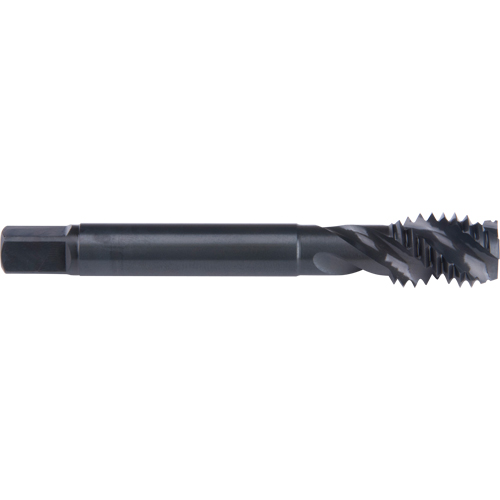 45° Spiral Flute Tap, High Speed Cobalt, 7/8"-9 Thread, 4-11/16" L Northern Industrial Supply Inc.