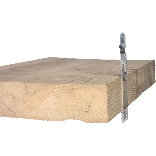 Wood Cutting Jigsaw Blade, High-Carbon Steel, T-Shank, 4" L, 10 TPI Northern Industrial Supply Inc.