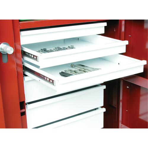 &eacute;tabli roulant, 49-7/8" la x 40-5/8" h x 26-7/8" p, Capacit&eacute; de 24,6 pi³ Northern Industrial Supply Inc.