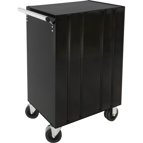 Industrial Tool Cart, 3 Drawers, 29-4/5" W x 21-1/5" D x 38-4/5" H, Black Northern Industrial Supply Inc.