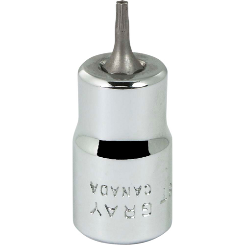 Bit Socket, Torx&reg;, T8 x 2-1/8" L, 3/8" Drive Northern Industrial Supply Inc.