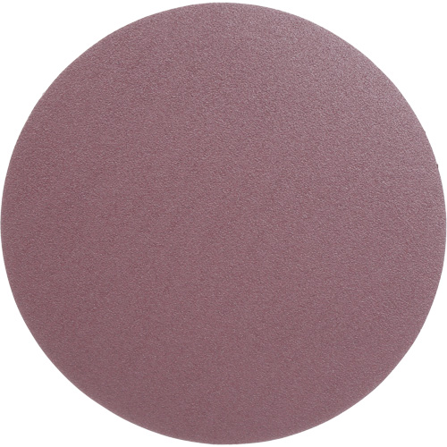 Meule en toile PSA 348D, dia 12", Grain 60, Oxyde d'aluminium, Poids Northern Industrial Supply Inc.