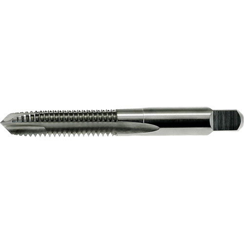Taraud &agrave; pointe spiral&eacute;e surdimensionn&eacute;e Nitro DRILLCO, Acier rapide, Filet de 1/2"-13 Northern Industrial Supply Inc.
