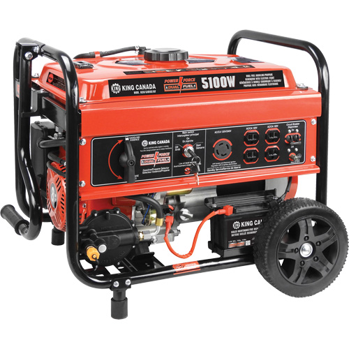 G&eacute;n&eacute;ratrice &agrave; essence/au propane &agrave; d&eacute;marreur &eacute;lectrique Northern Industrial Supply Inc.