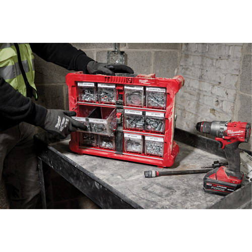 Organisateur PACKOUT &agrave; bac inclinable, 15-1/5" x 19-7/10" x 6-7/10", Noir/Rouge Northern Industrial Supply Inc.