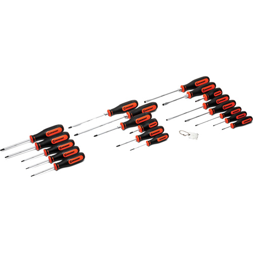 Dual Material Screwdriver Set, 20 Pcs. Northern Industrial Supply Inc.