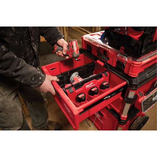 Diviseur pour boîtes &agrave; outils &agrave; tiroirs Packout Northern Industrial Supply Inc.