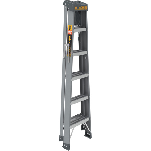 Step Ladder with Paint Tray, 6', Fibreglass, 225 lbs. Capacity, Type 2 Northern Industrial Supply Inc.