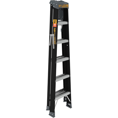 Step Ladder with Paint Tray, 6', Fibreglass, 250 lbs. Capacity, Type 1 Northern Industrial Supply Inc.