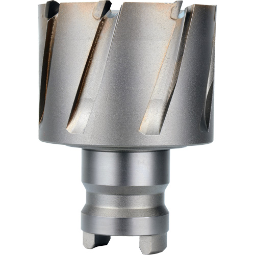 Fraise avec tenon &agrave; changement rapide Drive Hawg, Diam&egrave;tre de 2", Acier, Profondeur de la coupe de 1" Northern Industrial Supply Inc.