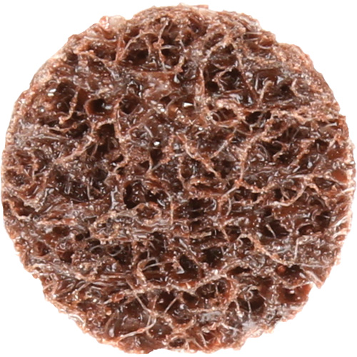 Standard Abrasives Quick-Change Surface Conditioning Disc, 3/4" Dia., Coarse Grit, Aluminum Oxide Northern Industrial Supply Inc.