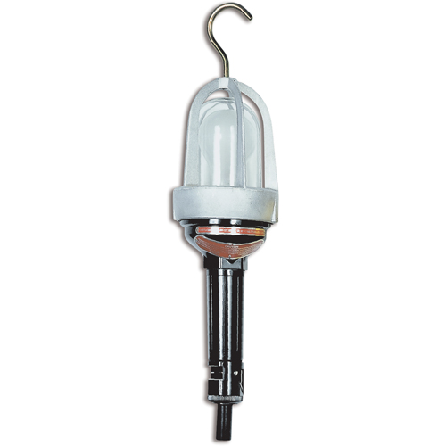 Hazardous Location Handlamp, LED, 20 W, 2400 Lumens Northern Industrial Supply Inc.