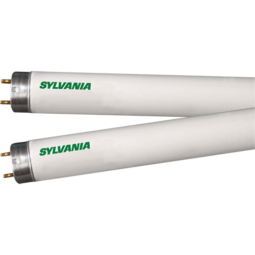 Fluorescent Lamps, 32 W, T8, 4100 K, 48" Long Northern Industrial Supply Inc.