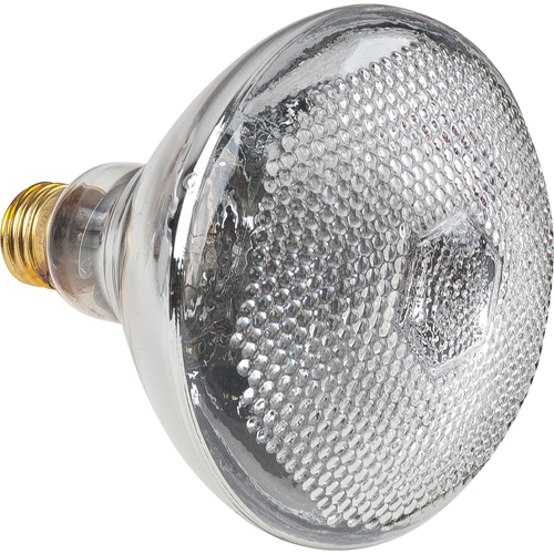 Lampes &agrave; incandescence &eacute;conomiques Northern Industrial Supply Inc.