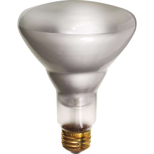 Lampes &agrave; incandescence &eacute;conomiques Northern Industrial Supply Inc.