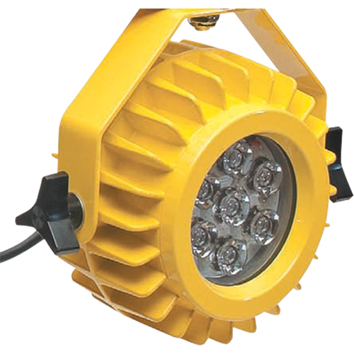 Lampe robuste DEL pour les quais - t&ecirc;te seulement Northern Industrial Supply Inc.