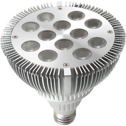 Lampes pour les quais - Accessoires, PAR38 Northern Industrial Supply Inc.