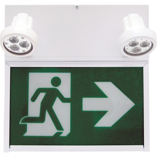 Running Man Exit Sign, LED, Battery Operated/Hardwired, 12" L x 12 1/2" W, Pictogram Northern Industrial Supply Inc.