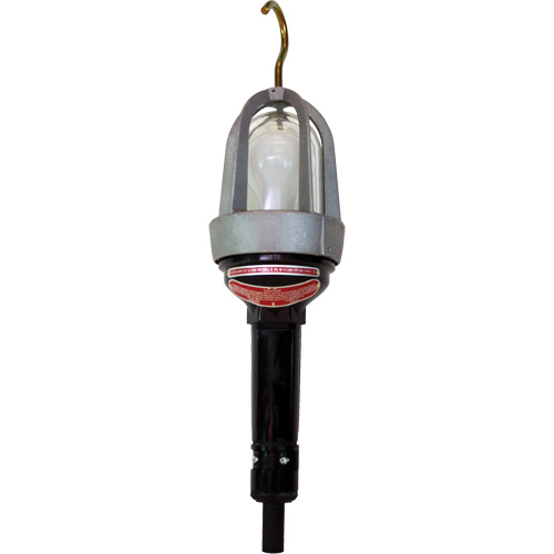 Baladeuses pour emplacements dangereux Northern Industrial Supply Inc.