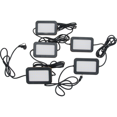 LED String Work Lights, 5 Lights, 50' L, Plastic Housing Northern Industrial Supply Inc.
