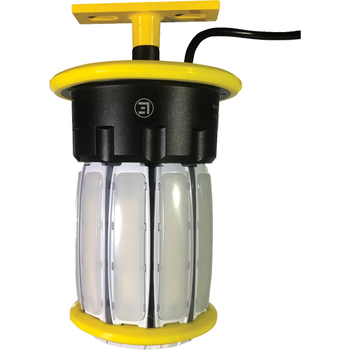 Beacon360 Blaze Portable Jobsite Light, LED, 100 W, 14300 Lumens, Aluminum Housing Northern Industrial Supply Inc.