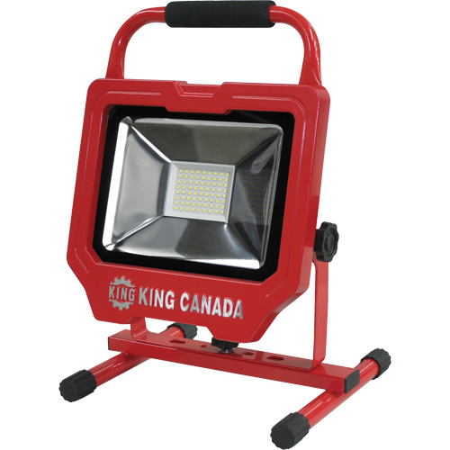 Work Light, LED, 36 W, 4000 Lumens, Aluminum Housing Northern Industrial Supply Inc.