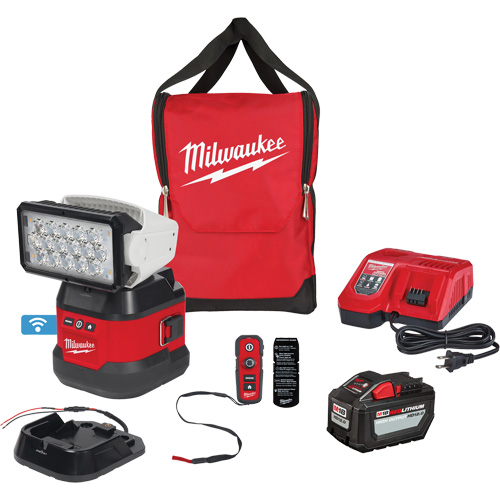 Ensemble d'&eacute;clairage orientable polyvalent &agrave; t&eacute;l&eacute;commande, DEL, 4250 lumens Northern Industrial Supply Inc.