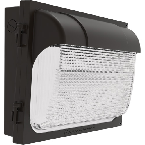 TWX Wall Luminaire, LED, 480 V, 9 W - 54 W, 14" H x 18" W x 5" D Northern Industrial Supply Inc.