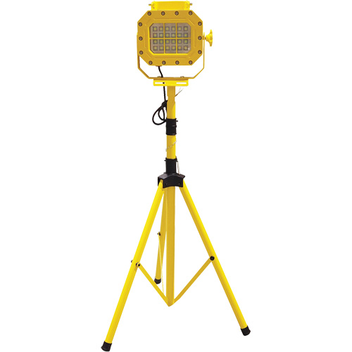 Diffuseur anti-d&eacute;flagration avec tr&eacute;pied, DEL, 40 W, 5600 lumens, Boîtier en Aluminium Northern Industrial Supply Inc.