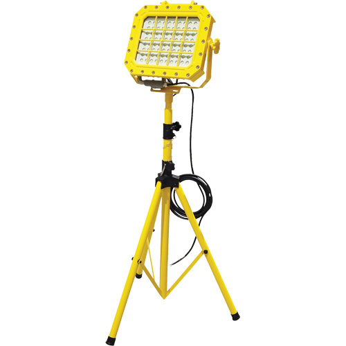 Explosion Proof Floodlight with Tripod, LED, 40 W, 5600 Lumens, Aluminum Housing Northern Industrial Supply Inc.