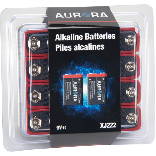 Industrial Alkaline Batteries, 9 V Northern Industrial Supply Inc.