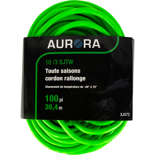 Cordon rallonge de calibre industriel, Toutes saisons, SJTW, AWG 10/3, 15 A, 100' Northern Industrial Supply Inc.