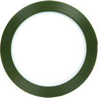 Ruban en polyester, Polyester, 25,4 mm (1") la x 66 m (216') lo, 1,9 mils &eacute;pais Northern Industrial Supply Inc.