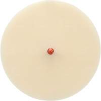 Disque Scotch-Brite 7502 pour retrait de colle et de bandes de moulage, 6" dia. Northern Industrial Supply Inc.