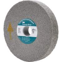 Meule d'&eacute;barbage EXL Scotch-Brite, 6" x 1", Arbre de 1" Northern Industrial Supply Inc.