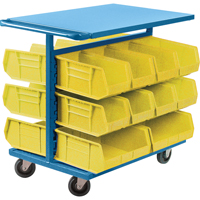 Bin Cart with Bins, Double-sided, 20 bins, 24" W x 38-1/2" D x 36-1/2" H Northern Industrial Supply Inc.