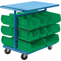 Bin Cart with Bins, Double-sided, 20 bins, 24" W x 38-1/2" D x 36-1/2" H Northern Industrial Supply Inc.